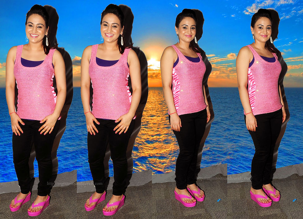 Telugu Tamil Malayalam Bollywood Actress Aksha Pardasany Wallpaper HQ (4).jpg
