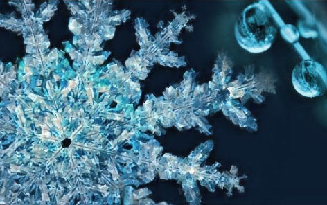 Coming Viruses and Wellbeing Preparation