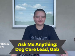 🐕ASK ME ANYTHING ❓ With DCSPCA Dog Care Lead Gab 🐶🐾