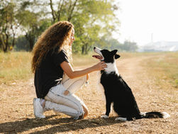 🌅Handling the Heat: 5 Dog Care Tips for Hot Weather