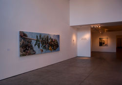 Bewilderness, 516 Arts