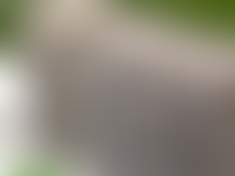 Você já ouviu falar em ESG?