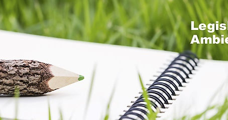 SEMAD e IEF prorrogam prazo para renovação do Registro Anual de Categoria