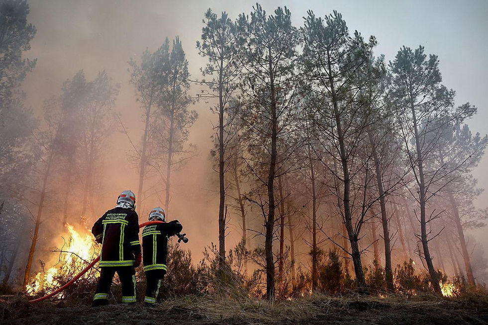 Incendies 2026 - Decryptage et agir ensemble