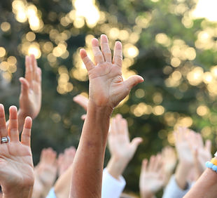 Hands Up_edited.jpg