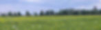 Header_Contact us.jpg