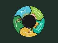 How Composting Helps Organic Farms Close the Loop