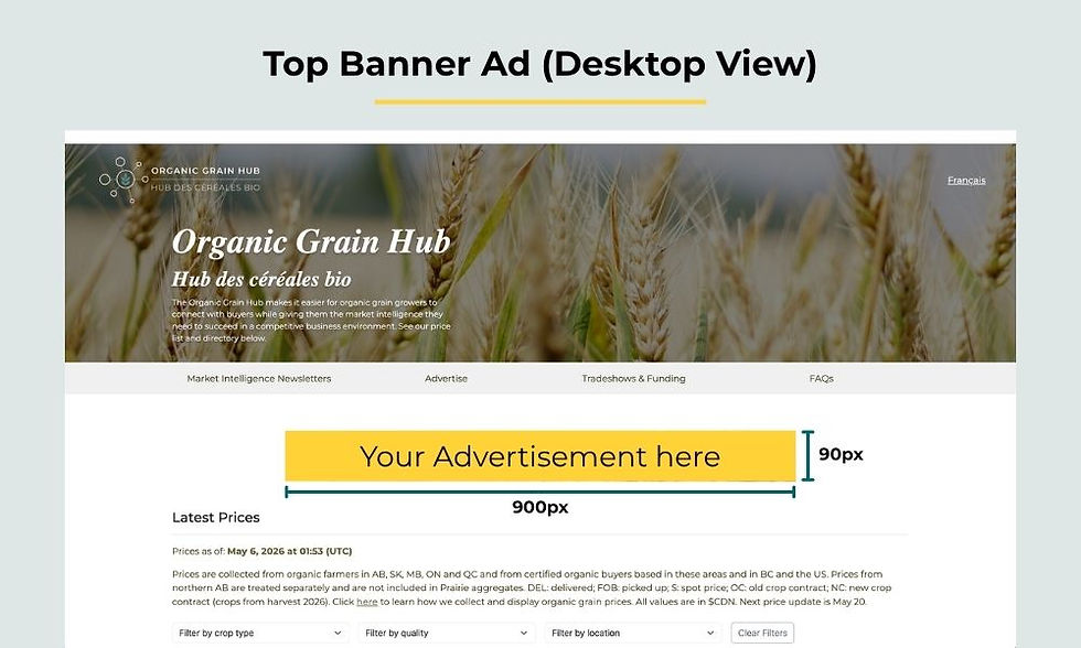 Top Banner Ad (Desktop View)