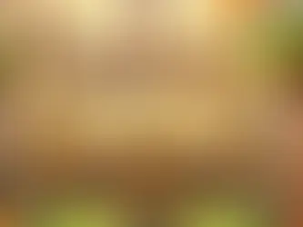 The Enduring Success of the Indian Constitution: Celebrating 75 Years of a Living Document