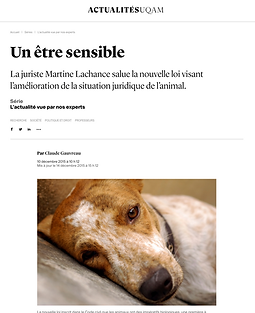 La juriste Martine Lachance salue la nouvelle loi visant  l’amélioration de la situation juridique de l’animal.