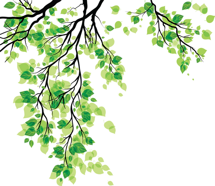 green nature