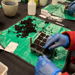 gloved hands planting seeds in a tray in Midtown Makers