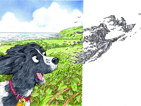 Illustration of Skye the springer dog in Islandmagee chasing the witches.
