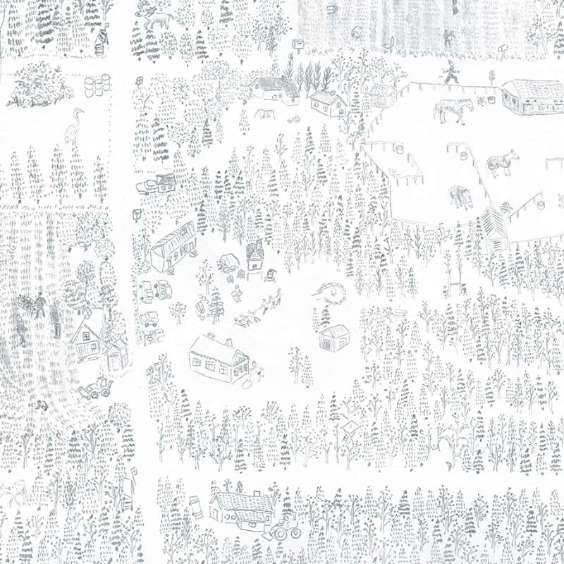 A Map of Woods