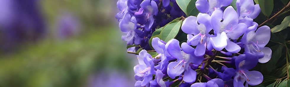 MLT flower 7.jpg