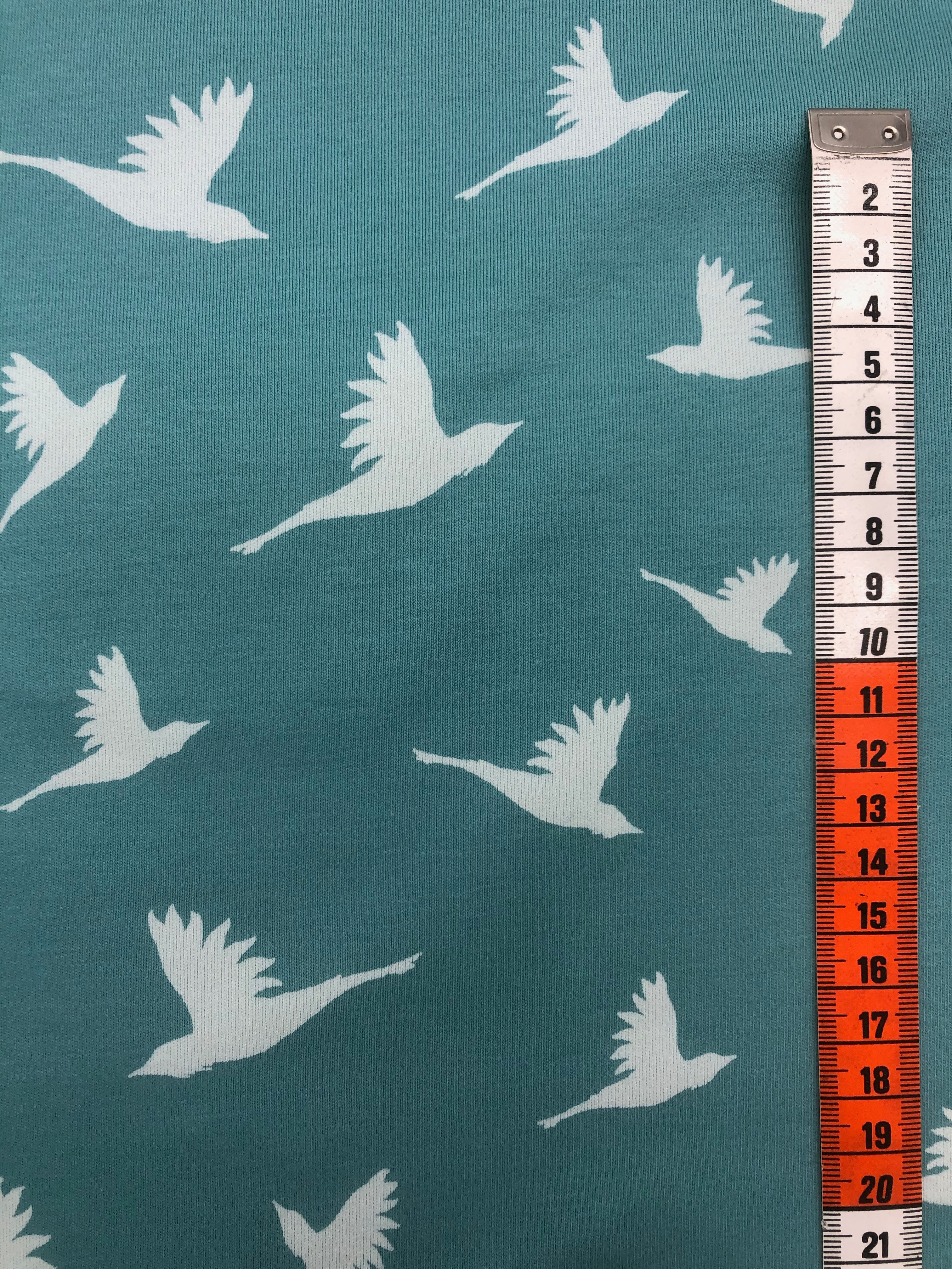 Jersey, Kenny, Möve