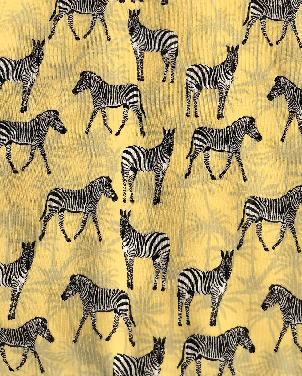 Miniaturbild: Jersey, Zebra magic!