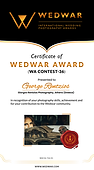wedwar award.png