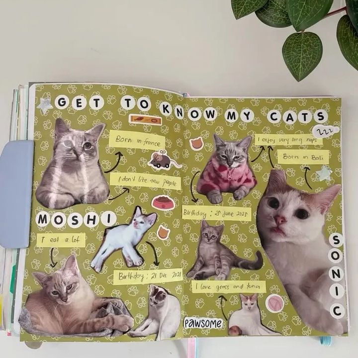 Thumbnail: Cat Themed Junk Journaling with Tyrayeeha