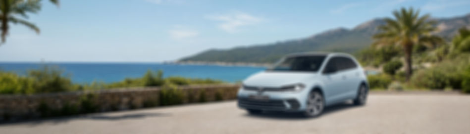 Polo Angebot Hintergrund_edited.jpg