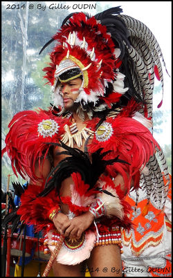 SENSACIONAL BRASIL J. ACCLIMATATION