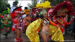 SENSACIONAL BRASIL J. ACCLIMATATION