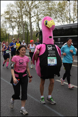 38e MARATHON DE PARIS 2014