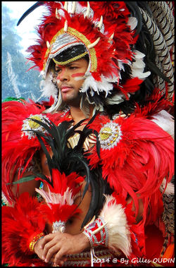 SENSACIONAL BRASIL J. ACCLIMATATION