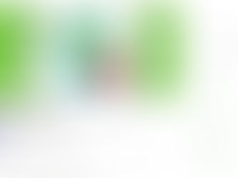 Trust celebrates first ‘International Paramedics Day’ by West Midlands Ambulance Service