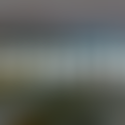 November Events & Latest Happenings: