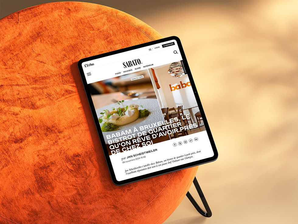 Campaign concept project for Babam by Twist agency