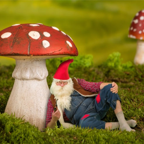 Revamp Your Garden in Less than an Hour with these Handy Tips