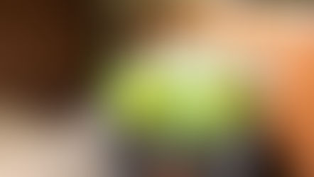 The Best Plants for Aquaponics plus troubleshooting tips