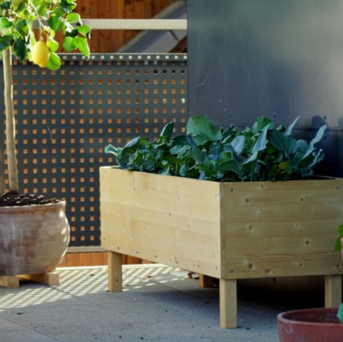 How to Create a Raised Bed Garden on Your Balcony: The Essential Guide