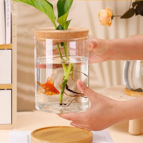 Mason Jar Aquaponics: 