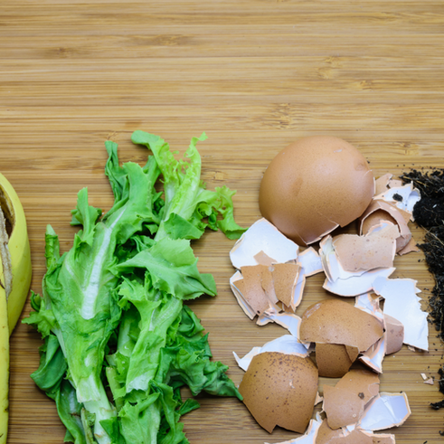 Step-by-Step Guide to Making Organic Fertilizers at Home