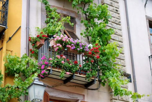 What You Need to Know Before Starting Your Balcony Garden