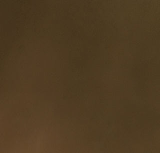 background brown.jpg
