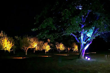 East End Entertainment Lighting DJ Hampt