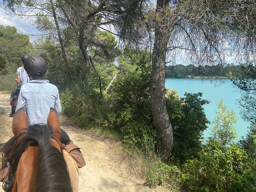Prochaine randonnée à la journée  Étang, vignes et vergers aux 3 allures Dimanche 28 septembre 2025