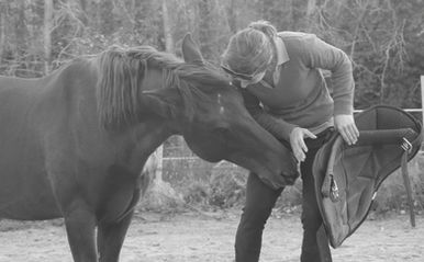 Une place disponible pour votre cheval en rééducation / Débourrage