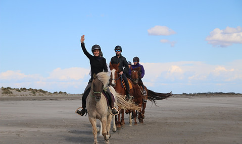 Balade à cheval en groupe au bord de l'étang
