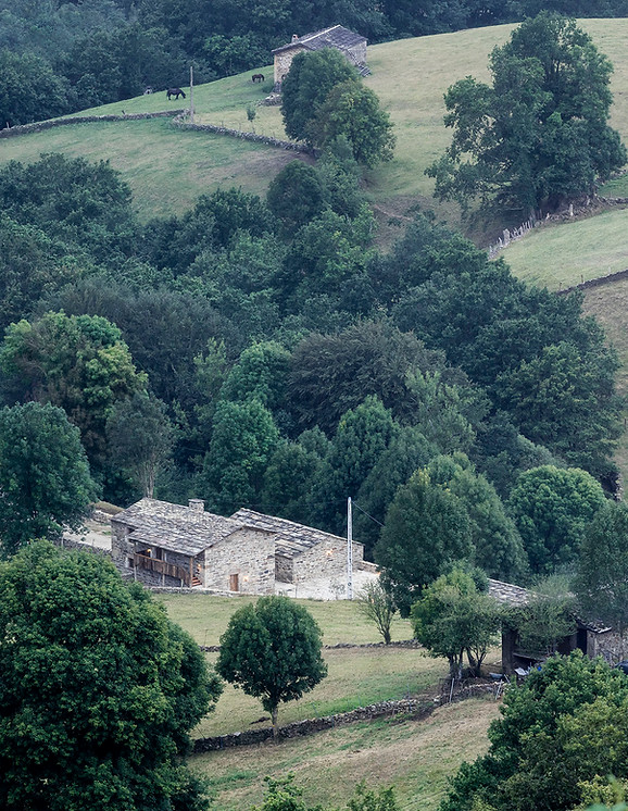 _I0A7089 as Smart Object-1.jpg