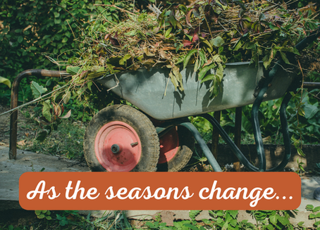 Still Feeling Green!