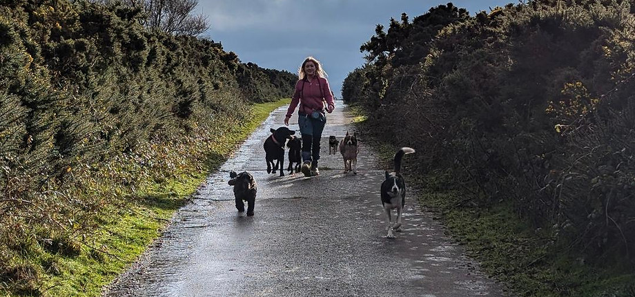 Donna from The Walkies Pack and a group of dogs on a walk.