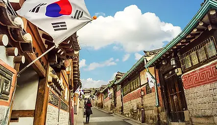 studykorea.webp