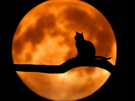 The Aquarius Full Moon 