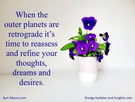Your purpose within the collective.