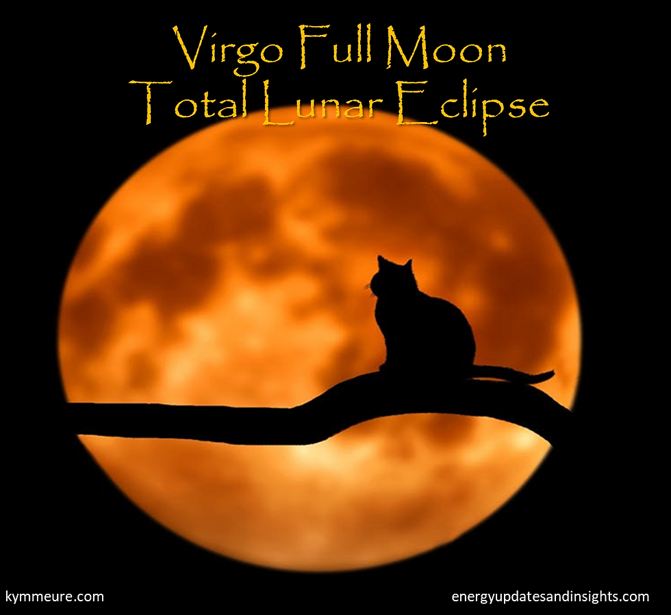 Silhouette of a cat on a branch against an orange full moon. Text reads "Virgo Full Moon Total Lunar Eclipse." Serene, mystical vibe.