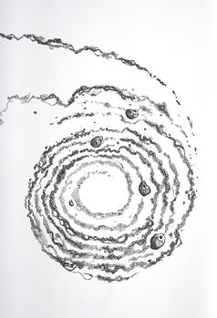 IMage 1 Anna.jpg